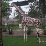 Küçük Zürafa Heykeli