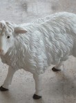 Kıbrıs Küçük Koyun Heykeli