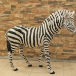 Zebra Bibloları