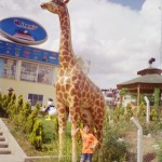 Zürafa Heykeli Fiber