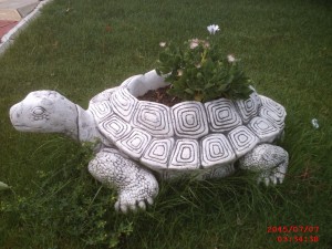 Kaplumbağa Çiçeklikler