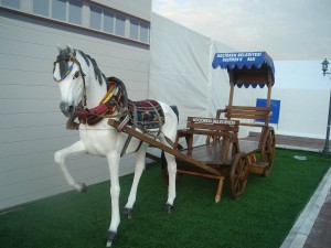 Kır At Arbası