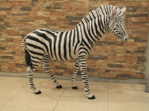 Zebra Biblo